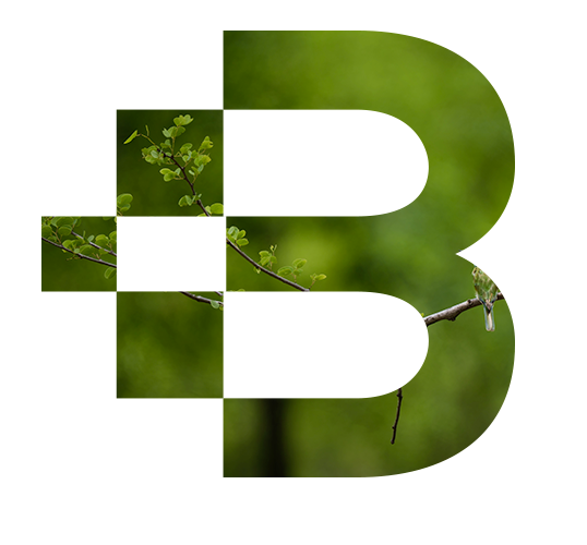 filosofia bionutrivita